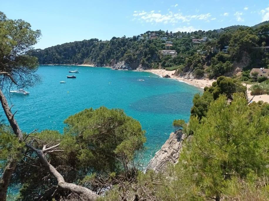 La Calma De Tossa Apartamento Girona