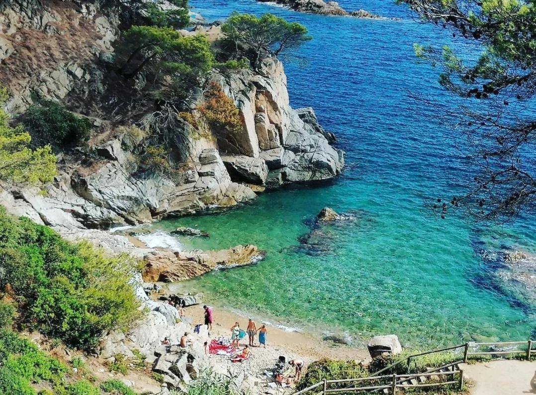 Apartamento La Calma De Tossa Girona